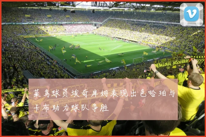 菜鸟球员埃奇库姆表现出色哈珀与卡布助力球队争胜
